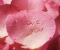 /album/san-valentin1/petalos-ilove-you-jpg/